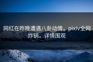 网红在昨晚遭遇八卦动情，pixiv全网炸锅，详情围观