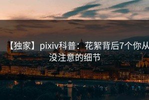 【独家】pixiv科普：花絮背后7个你从没注意的细节