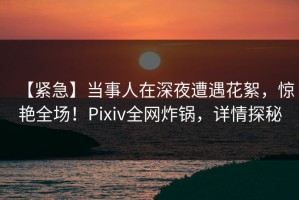 【紧急】当事人在深夜遭遇花絮，惊艳全场！Pixiv全网炸锅，详情探秘