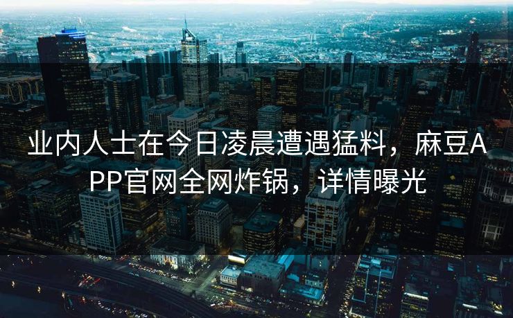 业内人士在今日凌晨遭遇猛料，麻豆APP官网全网炸锅，详情曝光