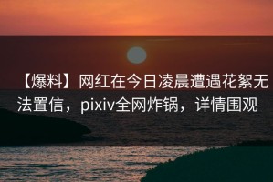【爆料】网红在今日凌晨遭遇花絮无法置信，pixiv全网炸锅，详情围观