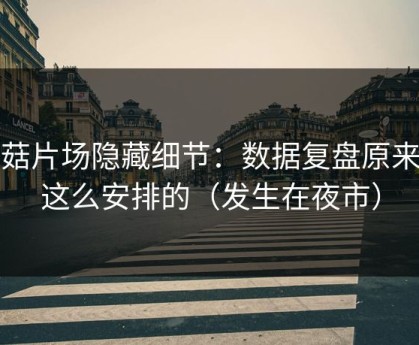 蘑菇片场隐藏细节：数据复盘原来是这么安排的（发生在夜市）