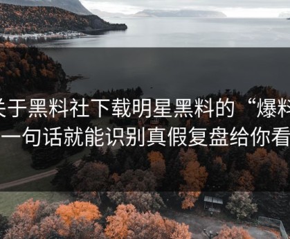 关于黑料社下载明星黑料的“爆料”一句话就能识别真假复盘给你看